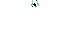 Zs4.gif