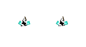 Zs2.gif
